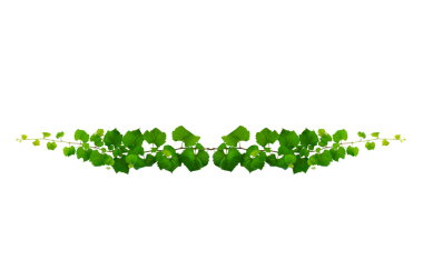 Asma çerçeve yaprak sarmaşık çemberi Şeffaf arkaplan PNG dosyası üzerinde izole