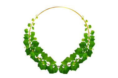 Asma çerçeve yaprak sarmaşık çemberi Şeffaf arkaplan PNG dosyası üzerinde izole