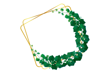 Asma çerçeve yaprak sarmaşık çemberi Şeffaf arkaplan PNG dosyası üzerinde izole