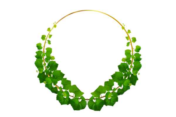 Asma çerçeve yaprak sarmaşık çemberi Şeffaf arkaplan PNG dosyası üzerinde izole