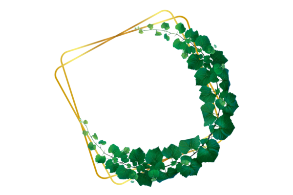 Asma çerçeve yaprak sarmaşık çemberi Şeffaf arkaplan PNG dosyası üzerinde izole