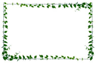 Asma çerçeve yaprak sarmaşık çemberi Şeffaf arkaplan PNG dosyası üzerinde izole