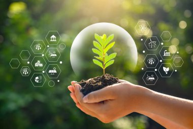 Çevre Günü, filizlenen ağaçların ellerinde. Bokeh yeşil arka plan Kadın el ele tutuşuyor doğa tarlası çim orman koruma kavramı