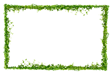 Asma çerçeve yaprak sarmaşık çemberi Şeffaf arkaplan PNG dosyası üzerinde izole