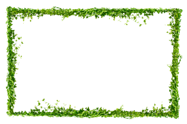 Asma çerçeve yaprak sarmaşık çemberi Şeffaf arkaplan PNG dosyası üzerinde izole