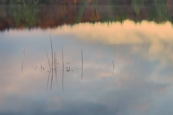 Şafak Vakti Sakin Sularda Sazlıkların Yansımaların Sonbahar Manzarası Hall Lake — Stok fotoğraf