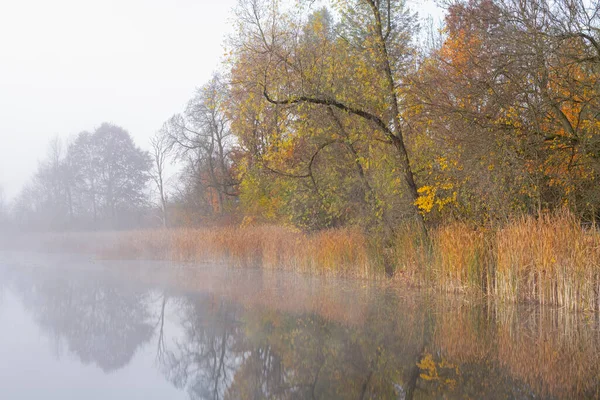 Foggy Autumn Landscape Shoreline Whitford Lake Dawn Reflections Calm Water — Stock Photo, Image