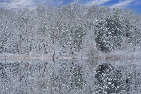 Winter Landscape Snow Flocked Shoreline Deep Lake Tamaracks Mirrored Reflections — Stock Photo, Image