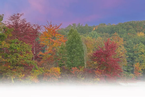 Mlhavá Podzimní Krajina Úsvitu Pobřeží Hall Lake Yankee Springs State — Stock fotografie