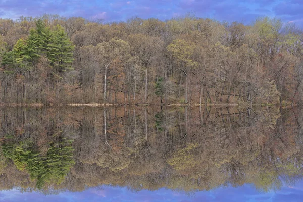 Spring Landschap Van Kustlijn Van Long Lake Met Spiegelende Reflecties — Stockfoto