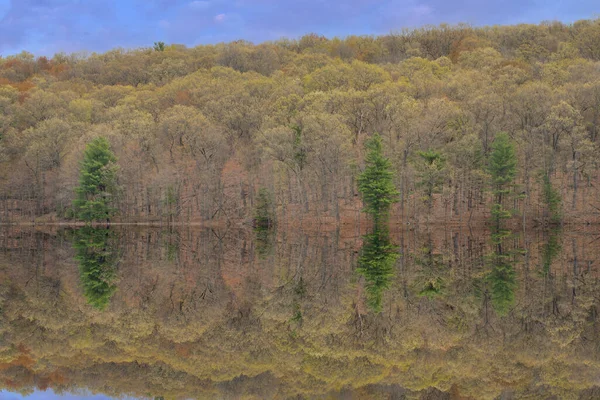 Frühlingslandschaft Morgengrauen Ufer Des Hall Lake Mit Spiegelungen Ruhigem Wasser — Stockfoto