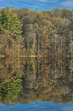 Long Lake kıyılarının şafağında bahar manzarası sakin sularda yansıyan yansımalarla, Yankee Springs State Park, Michigan, Usa