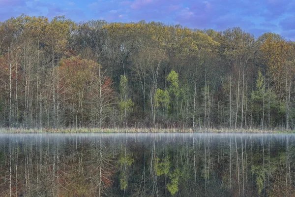美国密歇根州扬基泉州立公园 深湖海岸线黎明时分的春景 雾蒙蒙 白雪轻扬 — 图库照片