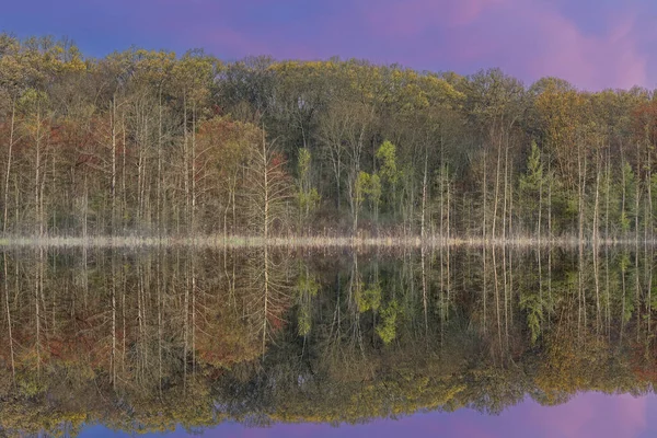 Spring Landscape Dawn Shoreline Deep Lake Mirrored Reflections Calm Water — Stockfoto