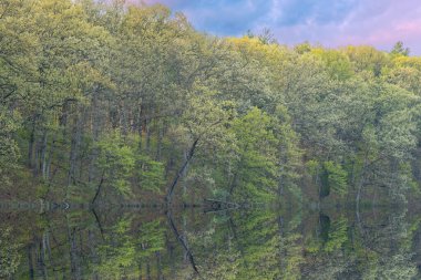 Kartal Gölü kıyılarının şafağında bahar manzarası sakin sularda yansıyan yansımalarla, Fort Custer State Park, Michigan, ABD
