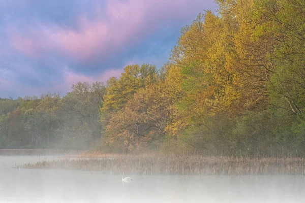 Paesaggio Della Nebbia Sponda Primaverile Del Lago Whitford All Alba — Foto Stock