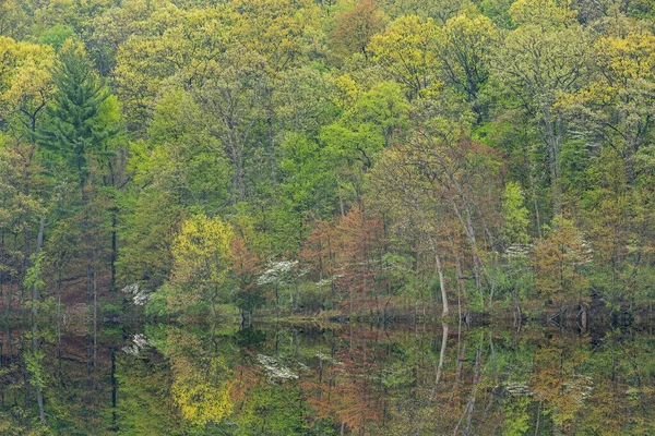 Voorjaar Landschap Van Kustlijn Van Hall Lake Met Spiegelende Reflecties — Stockfoto