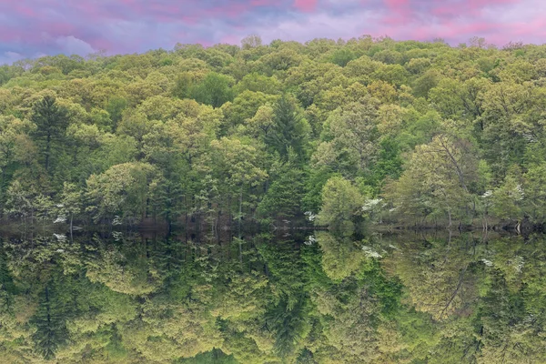 Frühlingslandschaft Morgengrauen Ufer Des Hall Lake Mit Spiegelnden Spiegelungen Ruhigen — Stockfoto