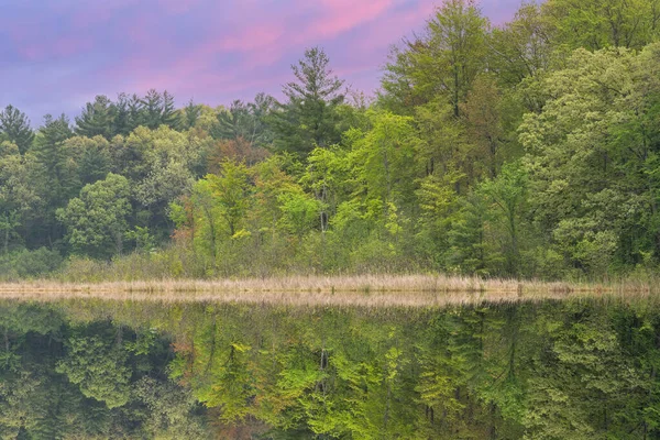 Tavaszi Táj Hajnalban Partvonal Long Lake Tükrözött Tükröződik Nyugodt Vízben — Stock Fotó