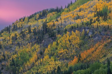 Kristal Göl kıyılarının şafağında sonbahar manzarası, San Juan Dağları, Colorado, ABD