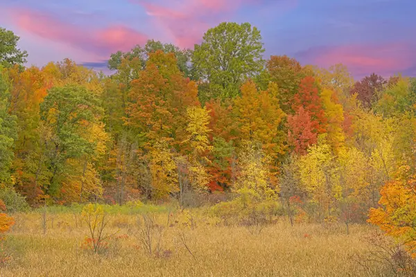 Autumn Landscape Dawn Forest Marsh Lake Doster Michigan Usa — Stock Photo, Image