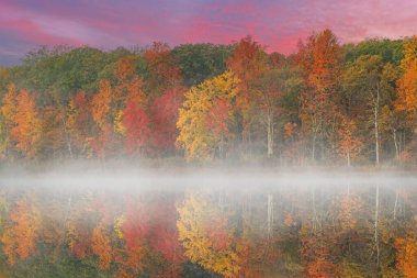  Derin Göl kıyılarının şafağında sisli sonbahar manzarası, Yankee Springs Eyalet Parkı, Michigan, ABD