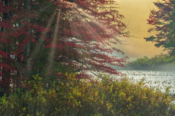 Paisagem Outono Nebulosa Nascer Sol Costa Mud Lake Com Raios — Fotografia de Stock