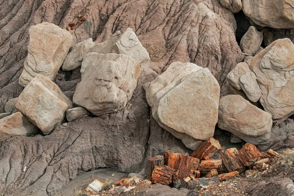 アメリカ アリゾナ州 ペトリファイドフォレスト国立公園の風景 ストック画像