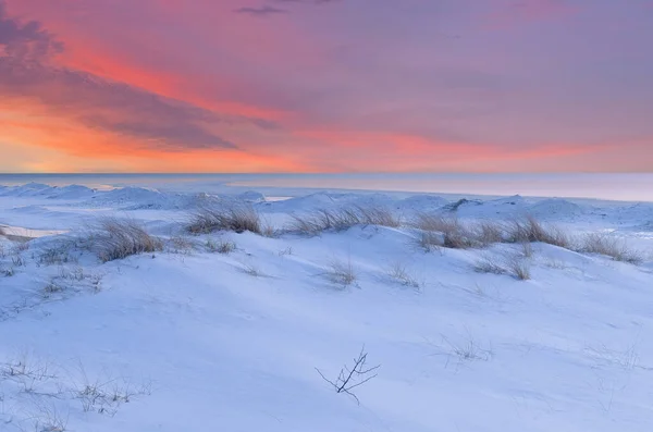 Winterlandschaft Mit Strandgräsern Schnee Und Dem Vereisten Ufer Des Michigansees Stockfoto