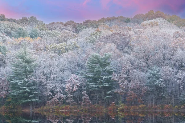 Осенний Пейзаж Береговой Линии Озера Холл Стекается Снегом Зеркальными Отражениями Лицензионные Стоковые Изображения