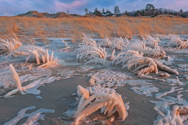 Зимний Пейзаж Замёрзшей Береговой Линии Озера Мичиган Возле Заката Парке Лицензионные Стоковые Изображения