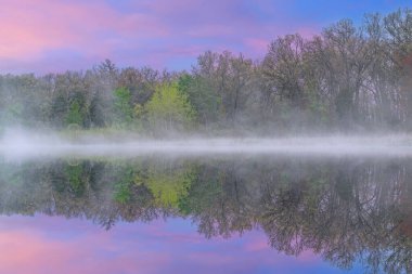 Derin gölün kıyı şeridinde ilkbahar manzarası sisli sularda yansıyan yansımalarla, Yankee Springs State Park, Michigan, Usa