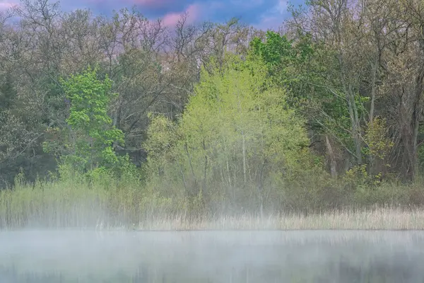 Весенний Пейзаж Берегах Озера Дип Тумане Зеркалами Спокойной Воде Парк — стоковое фото