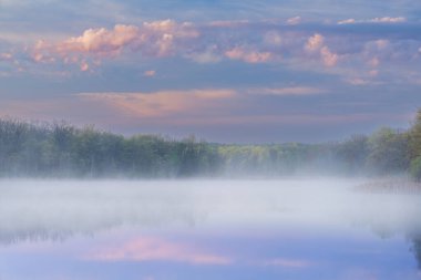 Whitford Gölü kıyılarının şafağında sisli bahar manzarası Fort Custer State Park, Michigan, ABD
