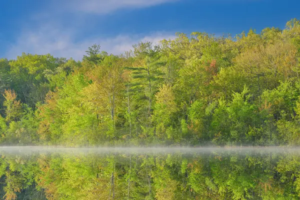 ミシガン州ヤンキースプリングス州立公園 米国ミシガン州の穏やかな水の反射とロングレイクの海岸線の日の出の霧の春の風景 ストック画像
