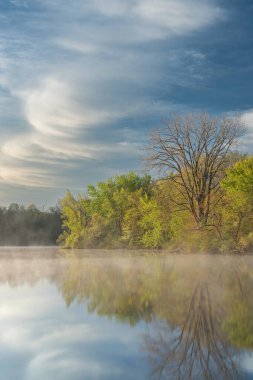 Jackson, Hole, Lake kıyı şeridinin şafağında sisli bahar manzarası sakin sularda yansıyan yansımalarla, Fort Custer State Park, Michigan, ABD