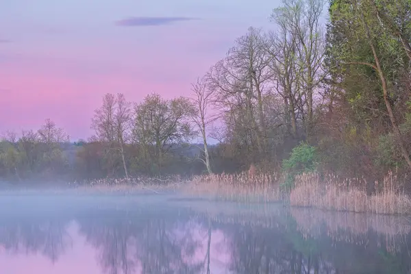 美国密歇根州卡斯特堡州立公园 惠特福德湖畔的春景映照在平静的水面上 免版税图库图片