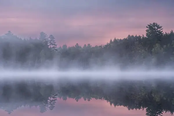 位于美国密歇根州上半岛的Hiawatha国家森林 在皮特湖黎明时分 多雾的春景映照在平静的水中 图库图片