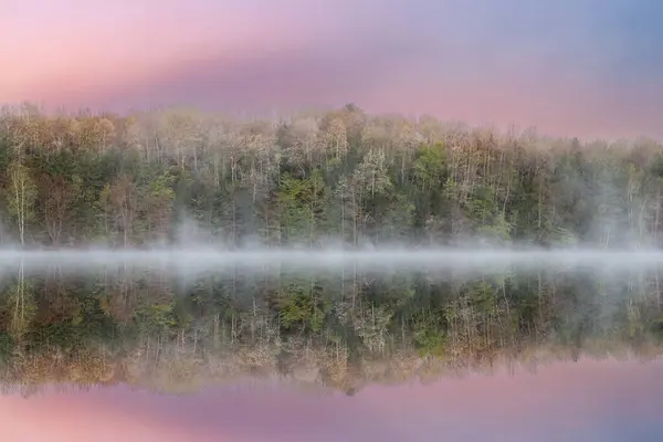 モカシン湖の夜明けの霧のような春の風景 穏やかな水の中の鏡のような反射 ヒワタナショナルフォレスト ミシガン州のアッパー半島 ロイヤリティフリーのストック写真
