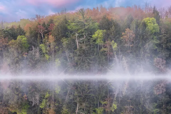 位于美国密歇根州上半岛的Hiawatha国家森林 在皮特湖黎明时分 多雾的春景映照在平静的水中 免版税图库照片