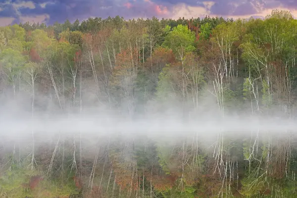 美国密苏根上半岛Hiawatha国家森林 童军湖海岸线黎明时分 多雾的春景映照在平静的水面上 免版税图库照片