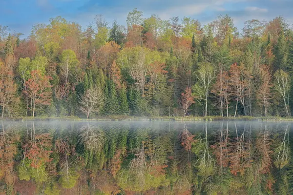 美国密苏根上半岛Hiawatha国家森林 Doe湖海岸线日出时的多雾春景 平静的水面上映照出倒影 图库照片
