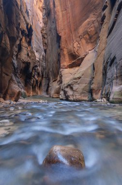 Virgin Nehri Narrows 'un manzarası hareket bulanıklığı, Zion Ulusal Parkı, Utah, Usa