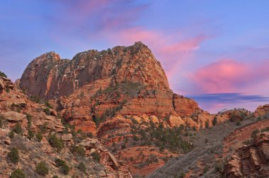 Uçurum ve ormanın şafağında manzara, Kolob Canyons, Zion Ulusal Parkı, Utah, ABD