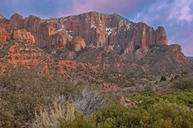 Uçurum ve ormanın şafağında manzara, Kolob Canyons, Zion Ulusal Parkı, Utah, ABD