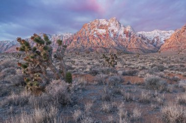 Kış ve şafak vakti Wilson Cliffs, Red Rock Canyon, Las Vegas, Nevada, ABD
