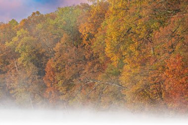 ABD 'nin Michigan eyaletindeki Fort Custer State Park' ta Kartal Gölü kıyılarının şafağında sonbahar manzarası