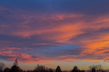 Çıplak ağaçların, bulutların ve günbatımının manzarası, Front Range, Rocky Dağları, Colorado, ABD