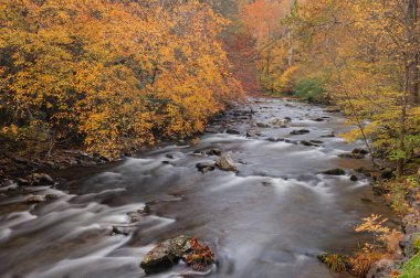Little River 'ın sonbahar manzarası yeşillikle çerçevelenmiş ve hareket bulanıklığıyla yakalanmış, Great Smoky Dağları Ulusal Parkı, Tennessee, ABD
