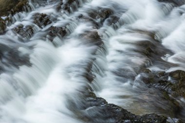 Walden Creek akıntılarının görüntüsü hareket bulanıklığı, Great Smoky Dağları Ulusal Parkı, Tennessee, ABD